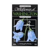 Wildflowers Seed Postcard - Bluebells