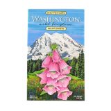 Wildflowers Seed Postcard - Wild Foxglove